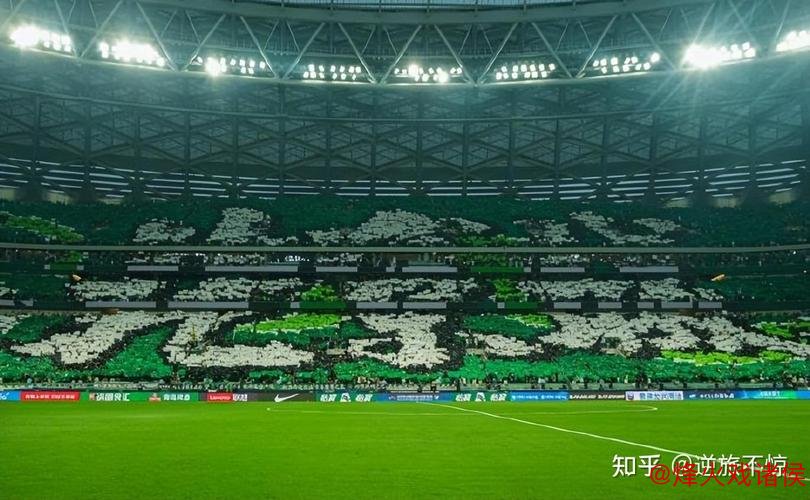 天王山之战失利 国安让出榜首 承认不足仍不言弃 天王山之战失利 国安让出榜首 承认不足仍不言弃