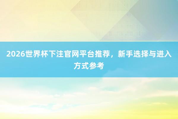 2026世界杯下注官网平台推荐，新手选择与进入方式参考