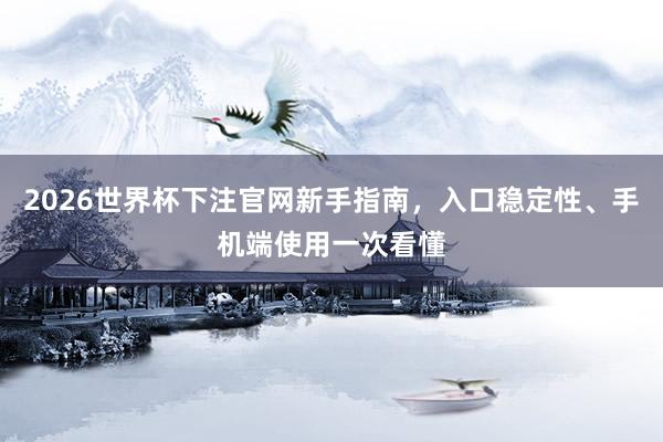 2026世界杯下注官网新手指南，入口稳定性、手机端使用一次看懂