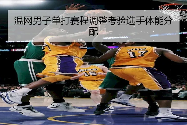 温网男子单打赛程调整考验选手体能分配（Sports）